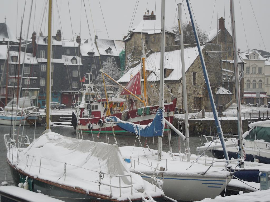 Appartement 3 Pieces Honfleur Dış mekan fotoğraf